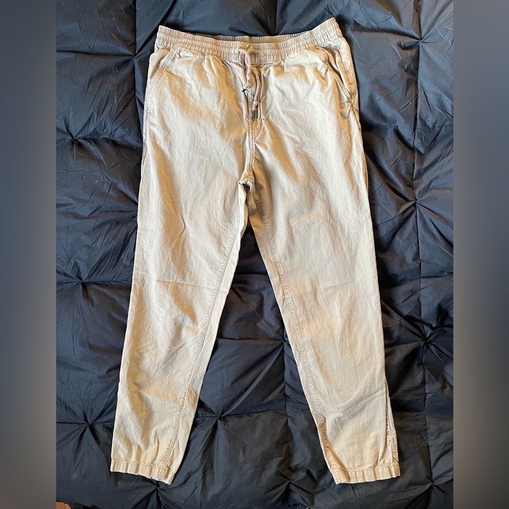 Patagonia Tan Men's Pants